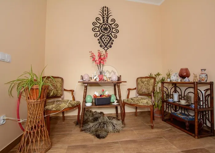 Pensjonat Pod Holami *